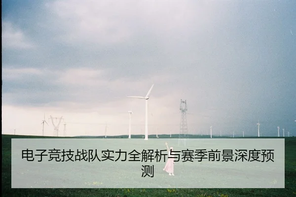 电子竞技战队实力全解析与赛季前景深度预测